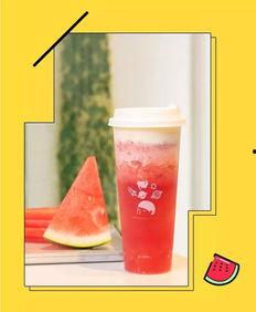 吃瓜群众茶叶,揭秘“吃瓜群众”与茶叶的奇妙邂逅