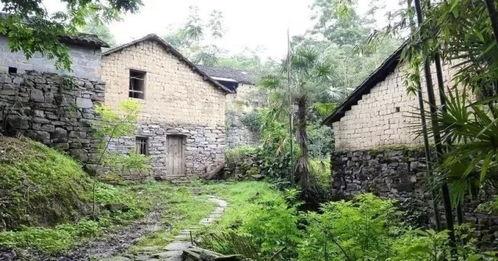 火红年代四合院里的吃瓜群众,见证时代变迁的吃瓜群众众生相