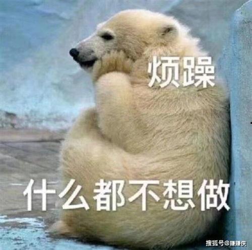 懂事的吃瓜群众图片,揭秘网络围观背后的心理奥秘