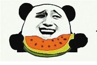 吃瓜群众和儿子的区别,两种截然不同的生活态度