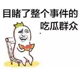沈阳吃瓜的群众,吃瓜群众聚焦热点事件
