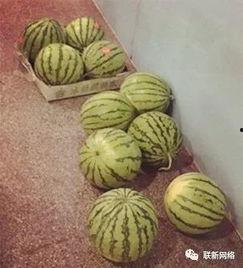 吃瓜群众第二波