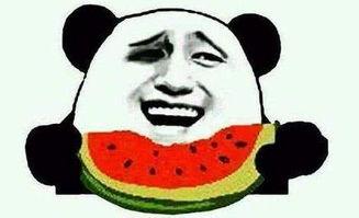 不会起名字的吃瓜群众,趣味横生的网络现象解析