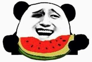 吃瓜群众吃瓜了配乐,跟随“吃瓜群众吃瓜了”配乐，感受夏日清凉