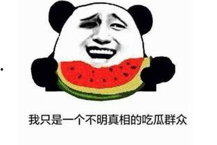 吃瓜群众的表情是什么意思,揭秘网络热议背后的真实心态