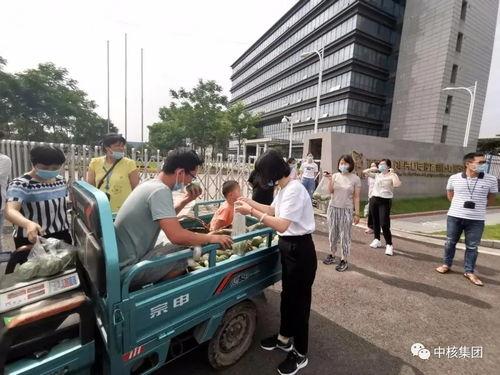 吃瓜群众疫情期间,吃瓜群众如何度过漫长假期