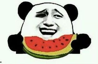 神经病吃瓜群众,揭秘网络时代的“看客”心态