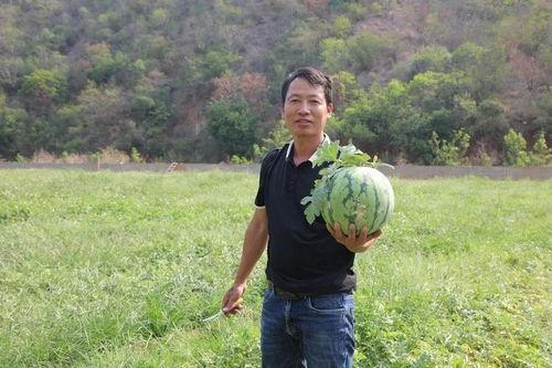 来自云南的吃瓜群众,本土特色美食背后的故事