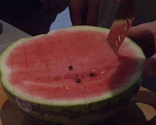 西熊探险吃瓜群众